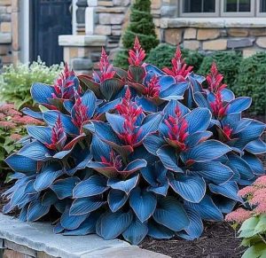 Хоста Грин Фог купить по цене от 669р. в интернет-магазине «Посадика» с доставкой почтой в в Абдулино и по всей России – [изображение №1].