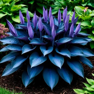 Хоста Сикрет Гров купить по цене от 570р. в интернет-магазине «Посадика» с доставкой почтой в в Абдулино и по всей России – [изображение №1].