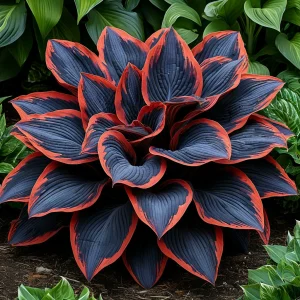 Хоста Солнечный Агат купить по цене от 440р. в интернет-магазине «Посадика» с доставкой почтой в в Абдулино и по всей России – [изображение №1].